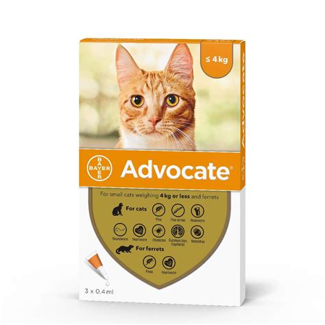Cat Flea Advocate