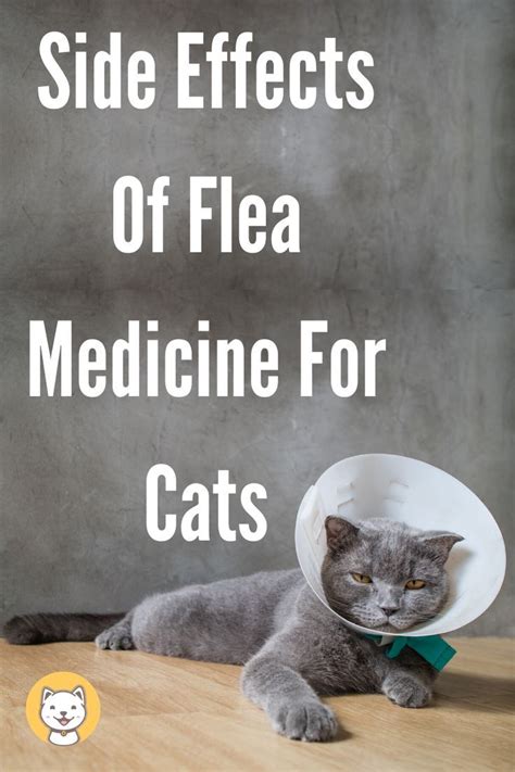 cat flea medication side effects