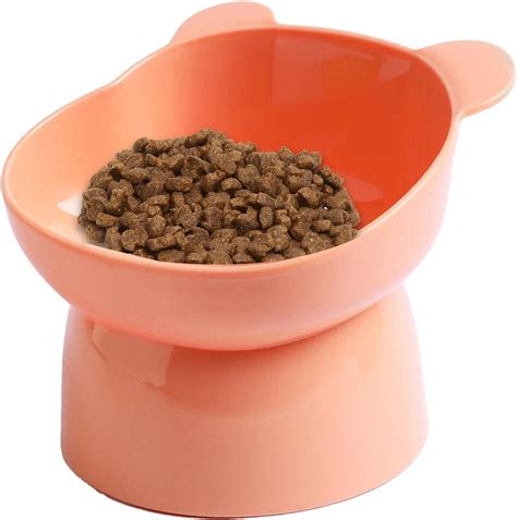 cat food bowls for indoor cats