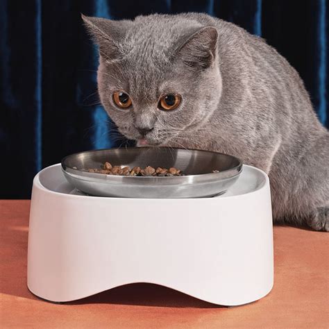 cat food bowls raised