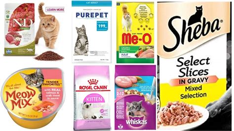 cat food brand names list
