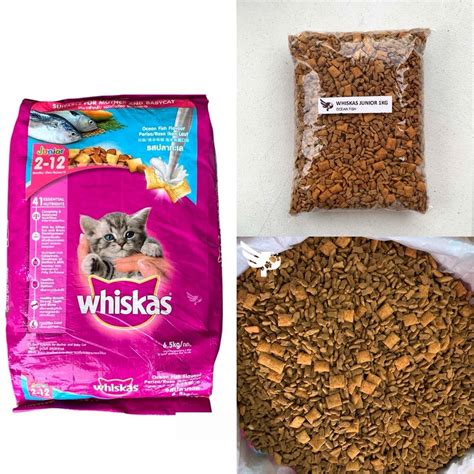 cat food dry for kittens