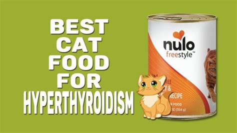 Cat Food For Hyperthyroidism