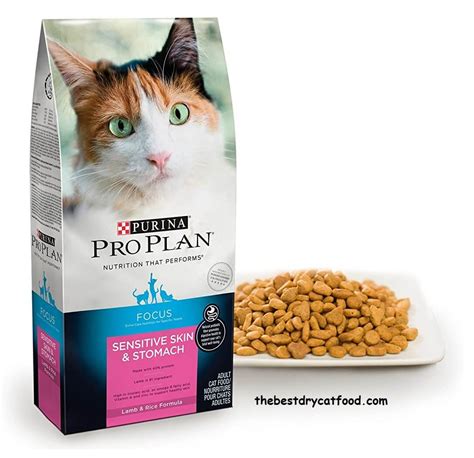 cat food for sensitive stomach