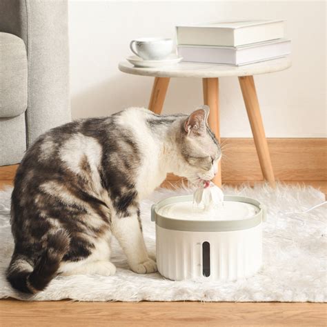 Cat Fountain Box