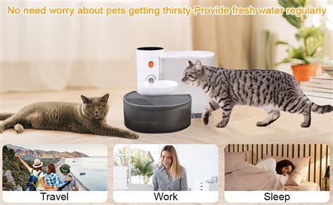 Cat Fountain No Filter Needed