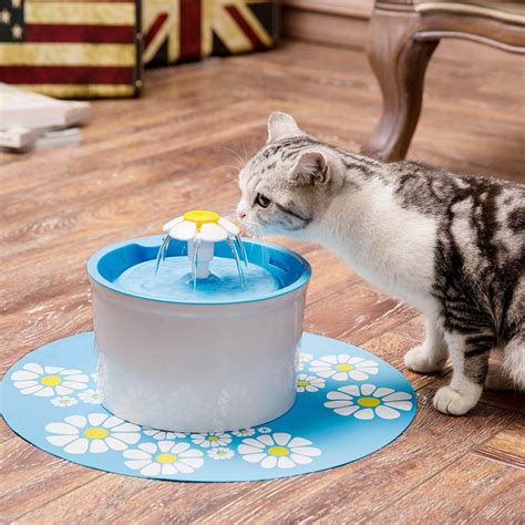 Cat Fountains Uk