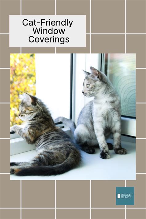 Cat Friendly Window Coverings