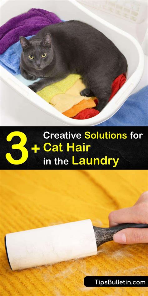 Cat Fur Laundry