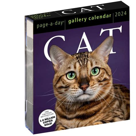 cat gallery calendar 2024
