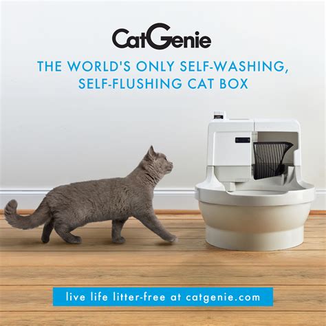 Cat Genie Installation