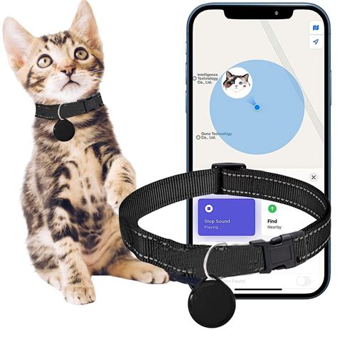 Cat Gps Collar Reddit