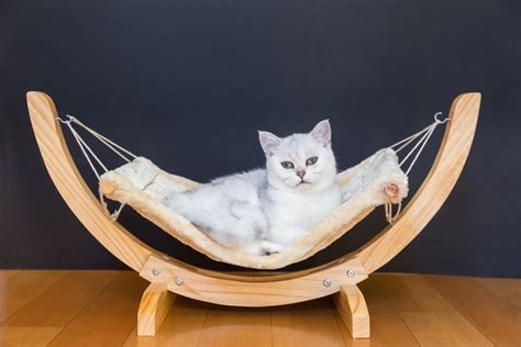 Cat Hammock Plans