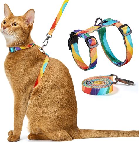 Cat Harness And Tether