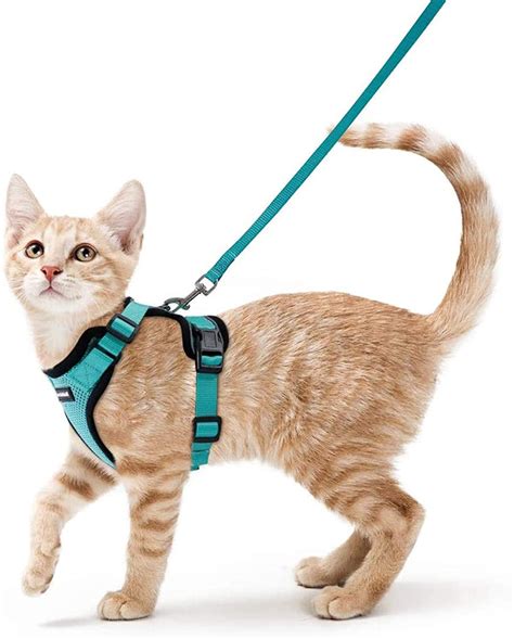 Cat Harness Best