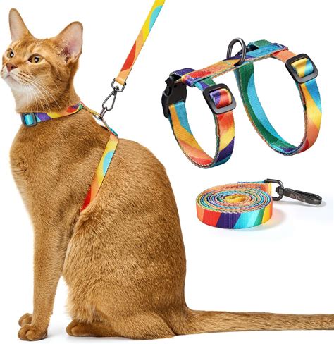 Cat Harness Video