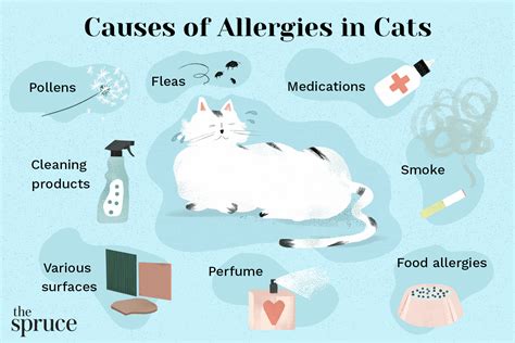 cat has allergies