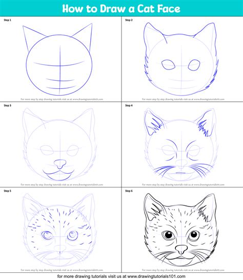 Cat Head Drawing Step By Step