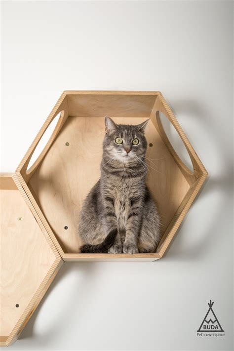 Cat Hexagon Wall Shelf