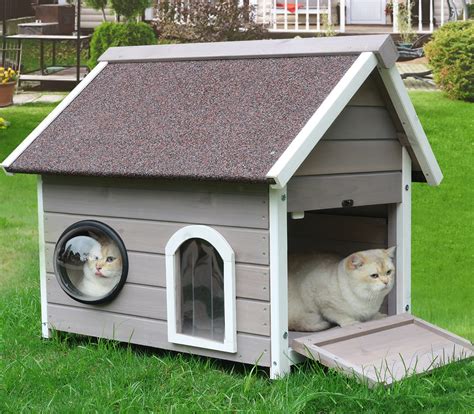 Cat House Is Called