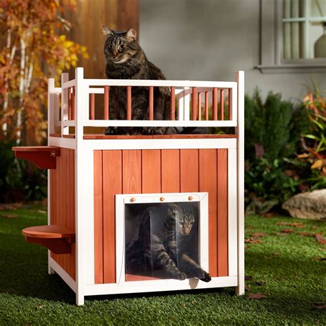 Cat House With Steps