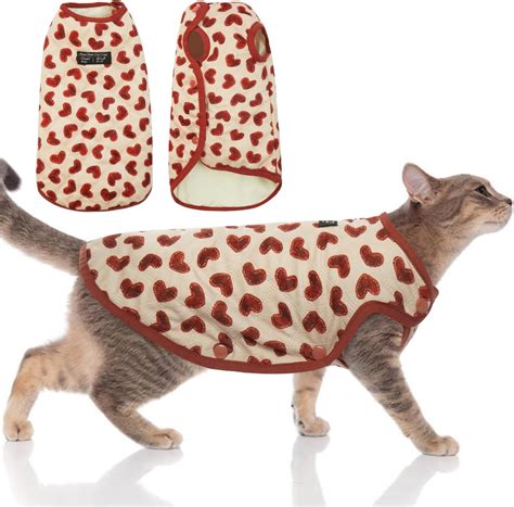 Cat Jacket Amazon