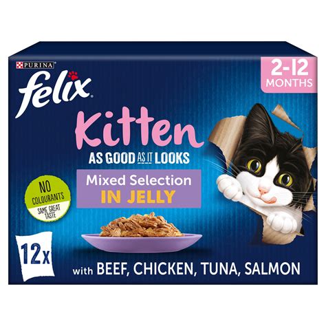 A Comprehensive Guide To The Best Cat Kitten Food In 2023