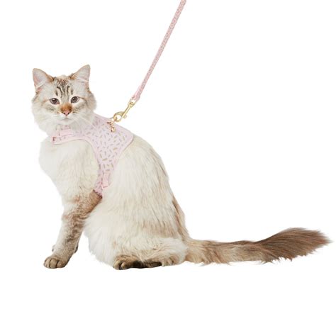 Cat Leash Petsmart