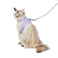 Cat Leashes Petsmart