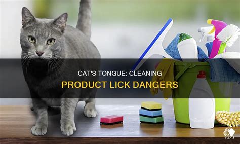 Cat Licked Drain Cleaner