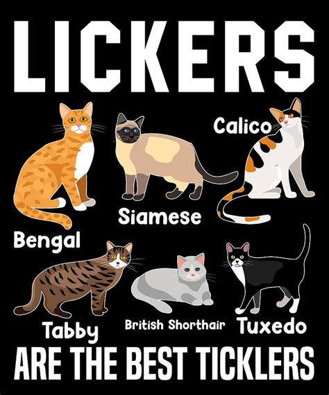 cat lickers 2