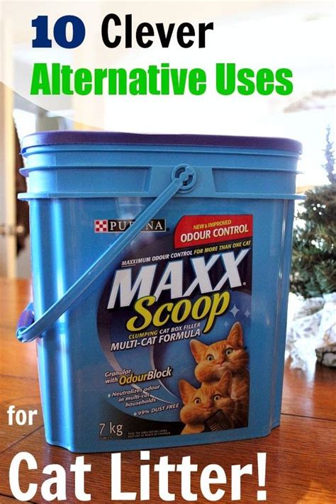 Cat Litter Alternative Uses