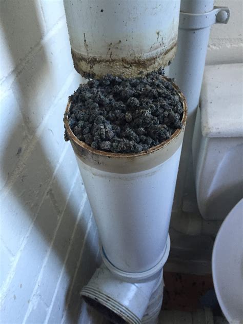 Cat Litter Clogging Drain
