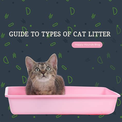 Cat Litter Services