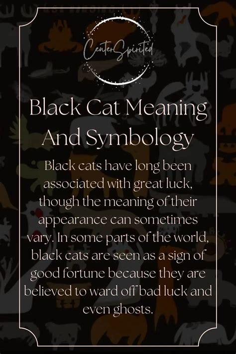 Cat Meaning Time