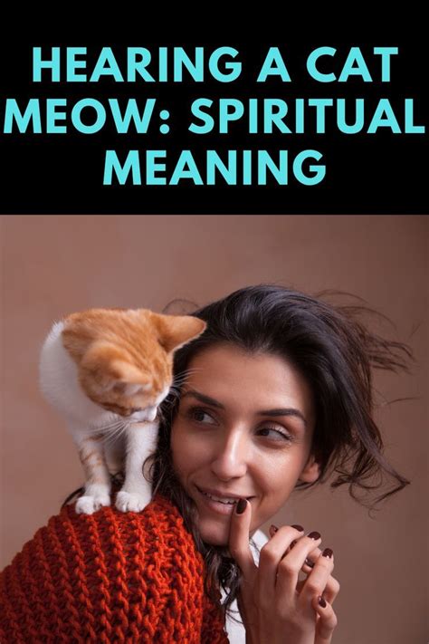 cat meowing spiritual meaning