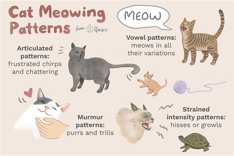 猫の鳴き声のパターン図解