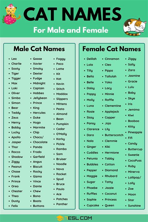 Cat Names A to Z