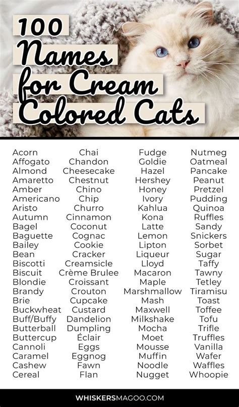 Cat Names for Cream Colored Cats