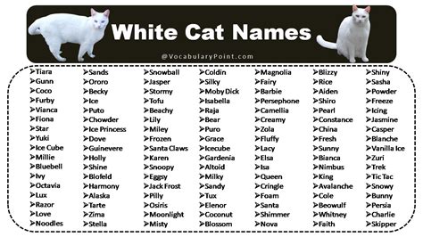 Cat Names for White Cats
