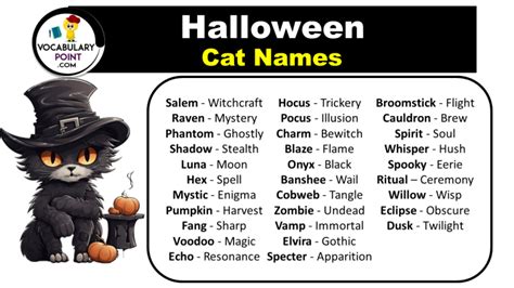 cat names from halloween movies