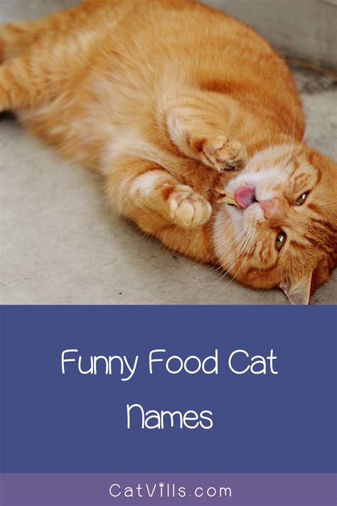 cat names inspired by food