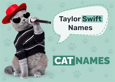 Cat Names Inspired by Taylor Swift