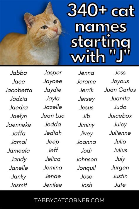 Cat Names Start with J