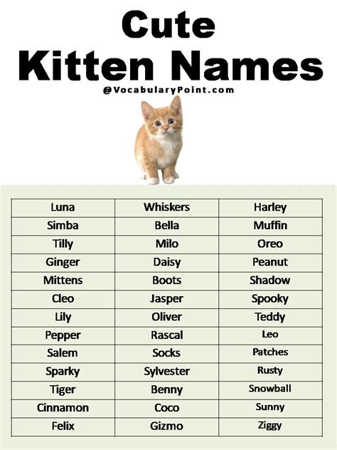 Cat Names Start With P