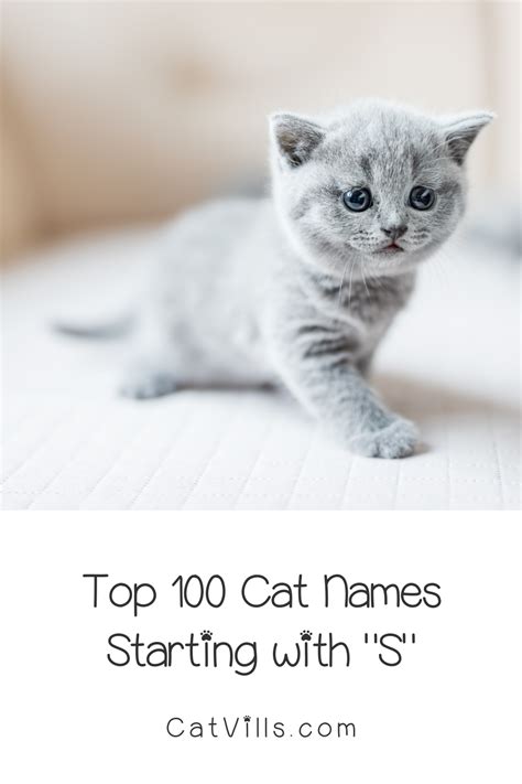 Cat Names That Start with S
