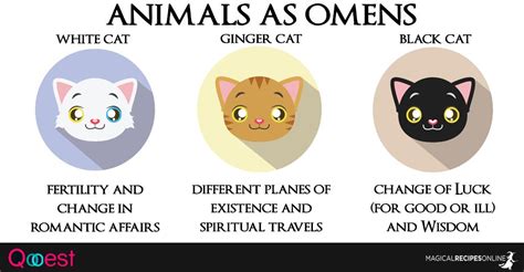 Cat Omen Meaning