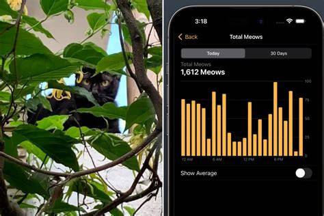 Cat owner using app