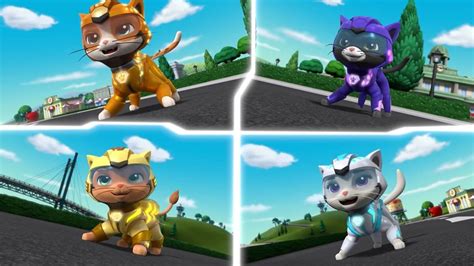 Cat Pack Names Paw Patrol