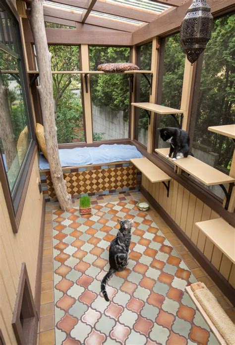 Outdoor cat enclosure with greenhouse Beautiful World Living